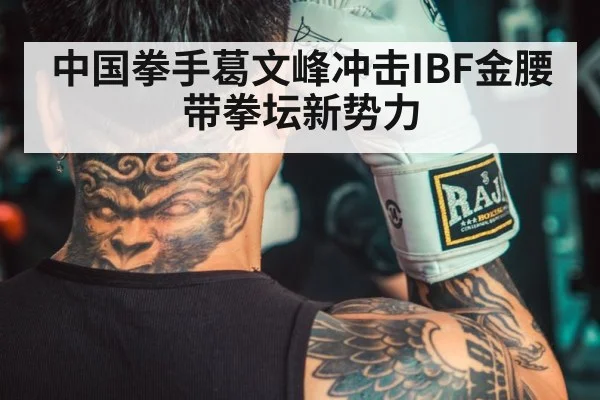 中国拳手葛文峰冲击IBF金腰带拳坛新势力