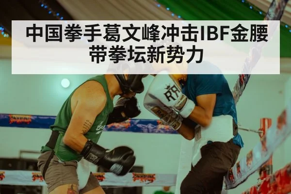 boxing training